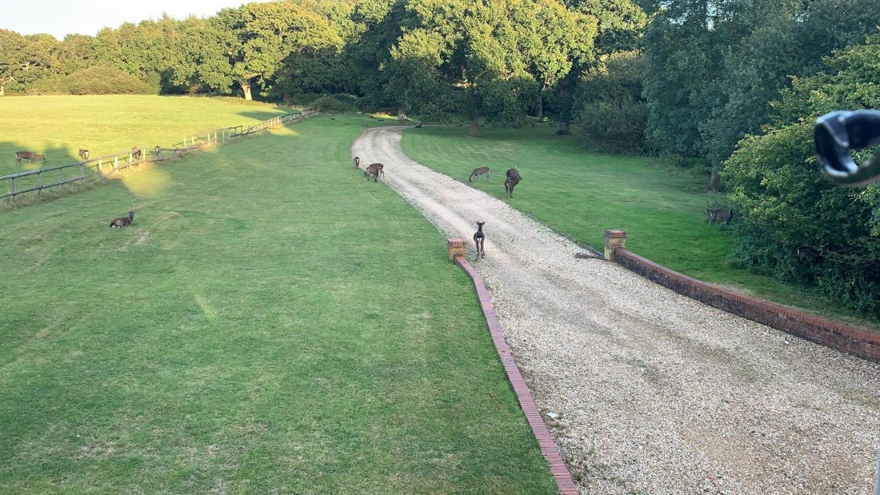 Yards Brake On 40 Acres Of Private Land Langton Matravers Exterior foto