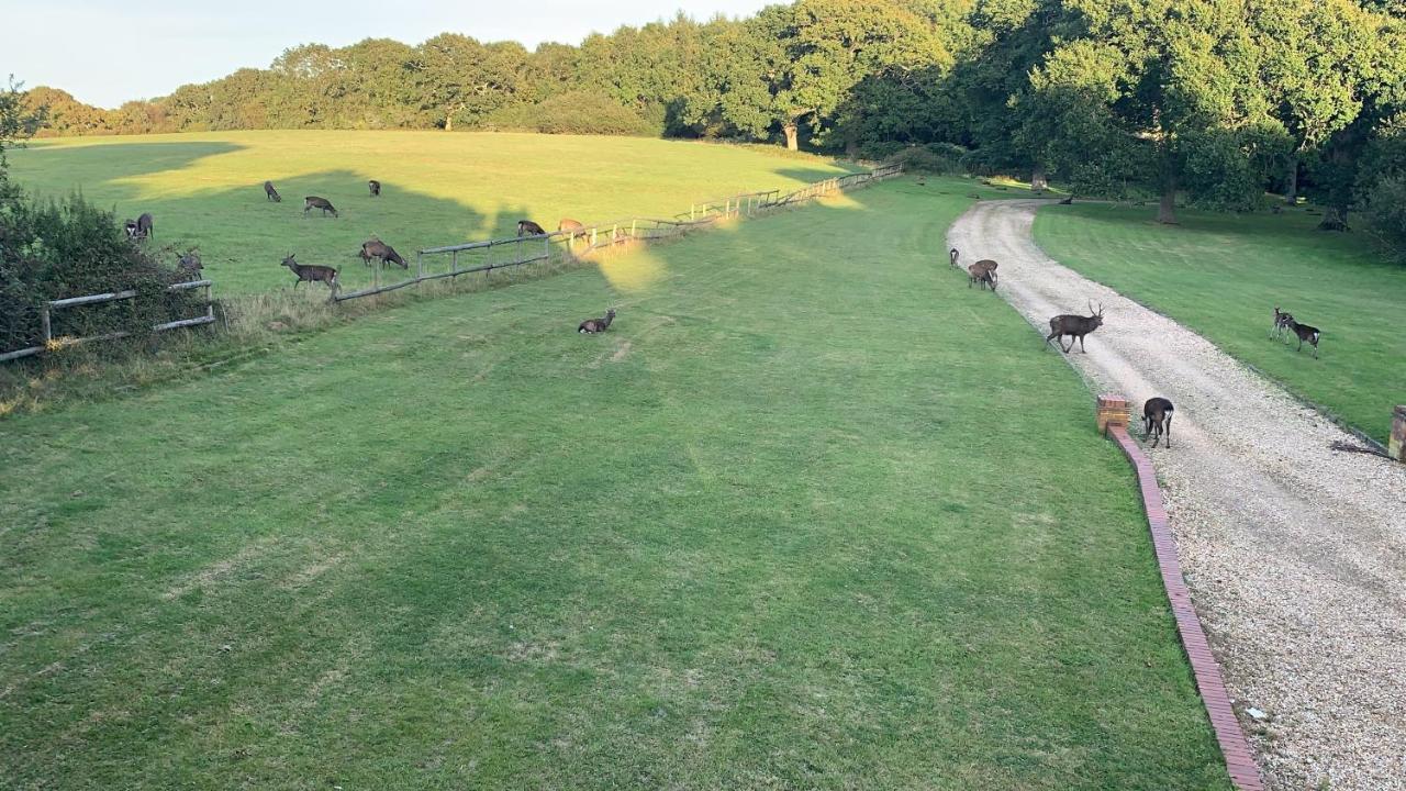 Yards Brake On 40 Acres Of Private Land Langton Matravers Exterior foto
