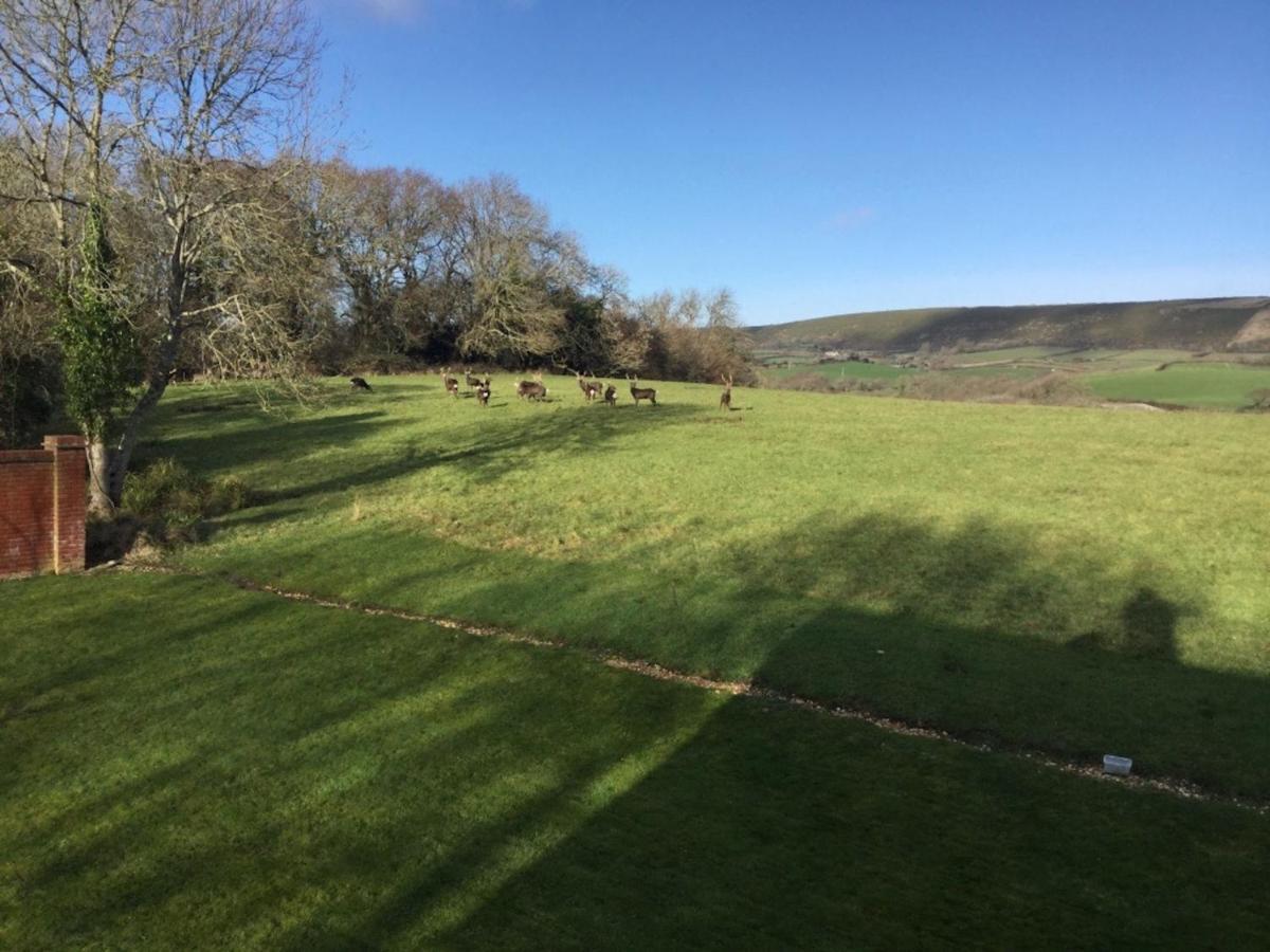 Yards Brake On 40 Acres Of Private Land Langton Matravers Exterior foto