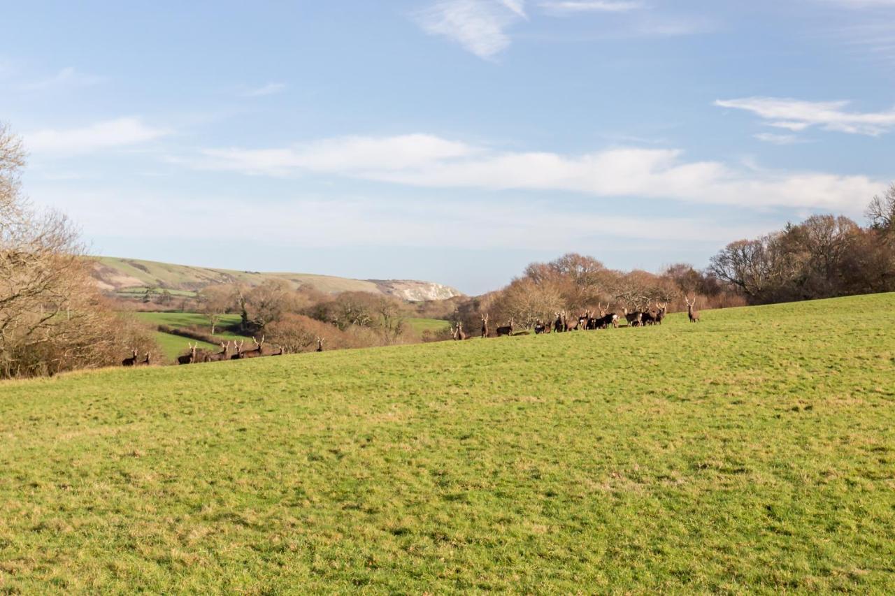Yards Brake On 40 Acres Of Private Land Langton Matravers Exterior foto